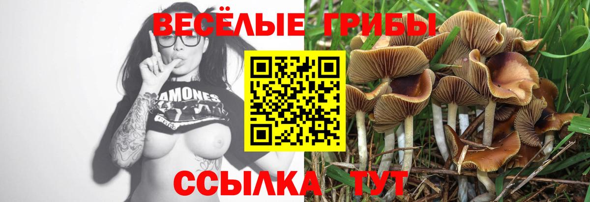 Галлюциногенные грибы ЛСД  Галлюциногенные грибы Magic Shrooms  Тавда  Вход с VPN 
